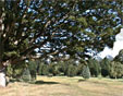 The Hirsel Golf Course